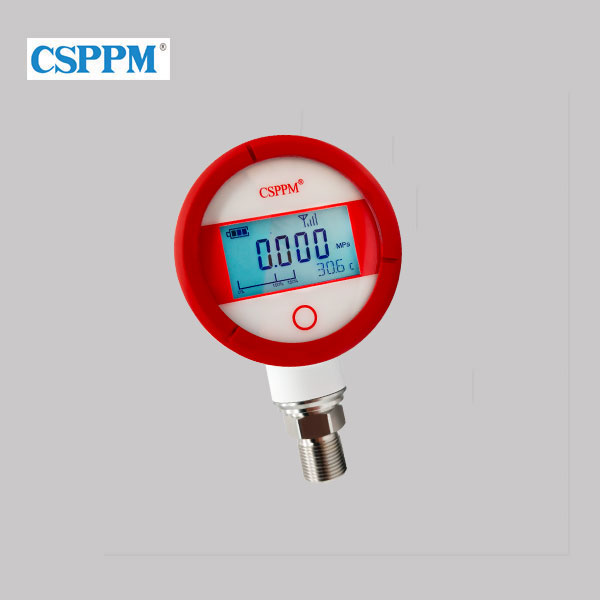 PPM-SXYB-P(P)經濟型無線遠傳壓力表 